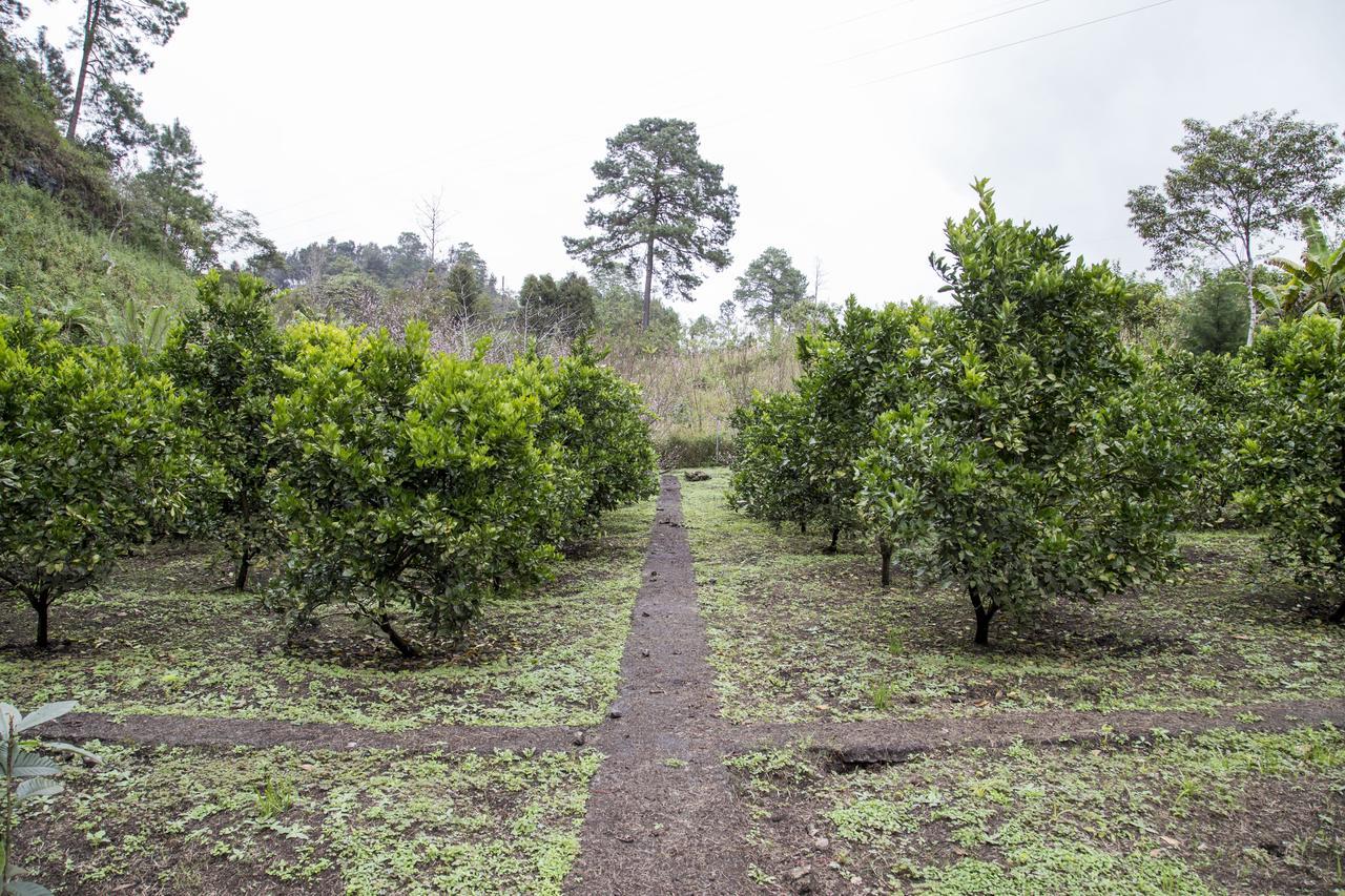 Casa Kirva Hotel Cobán エクステリア 写真